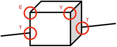 Universal Visual Features Might Be Necessary for Fluent Reading. A Longitudinal Study of Visual Reading in Braille and Cyrillic Alphabets